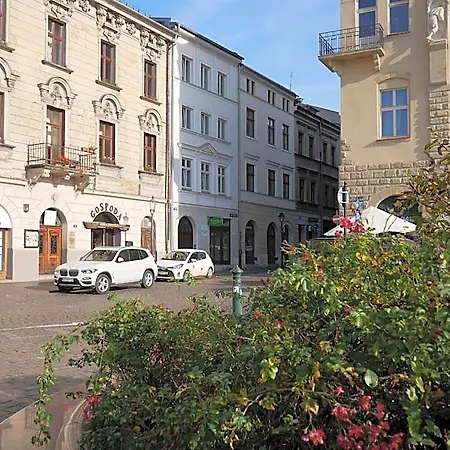 Ermine Apartmanhotel 4*