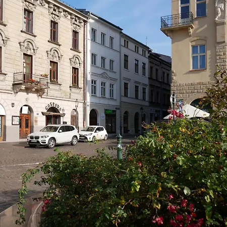 Ermine Lejlighedshotel 3*